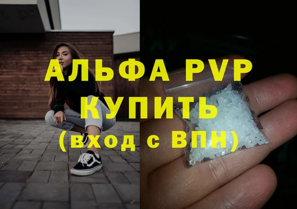 стафф Дмитровск