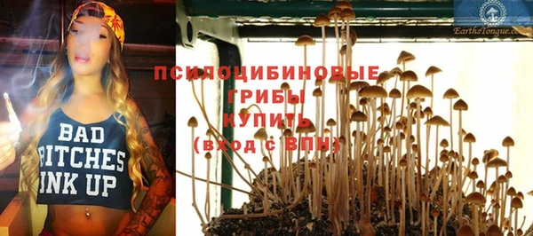 кристаллы Дмитриев
