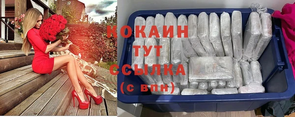 стафф Дмитровск