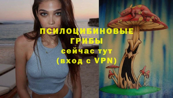 стафф Дмитровск